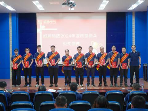 利来老牌国际官网app电气集团召开2024年度质量月总结表扬大会