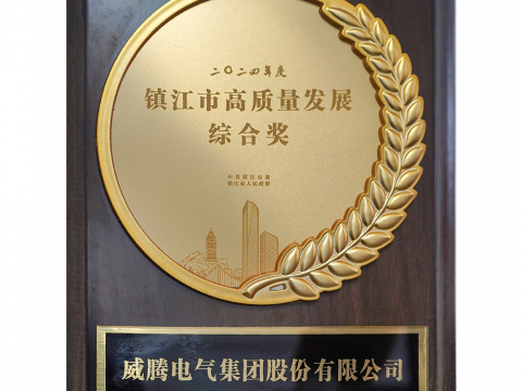 喜讯│利来老牌国际官网app荣获2024年度镇江市高质量生长综合奖