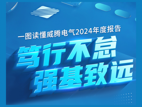 一图读懂利来老牌国际官网app电气2024年度报告